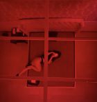 Камилла, 8 917 459-09-50 Камилла — эротический массаж лингама от 4000 руб.